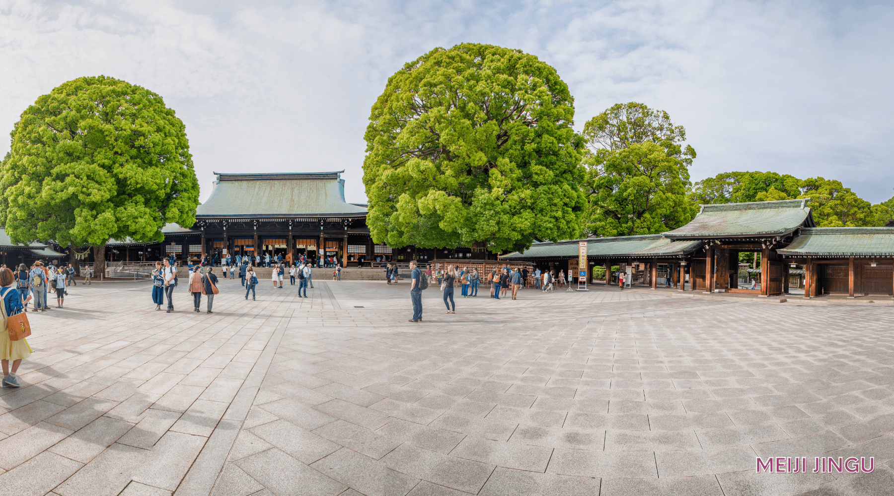 Hình đền Meiji